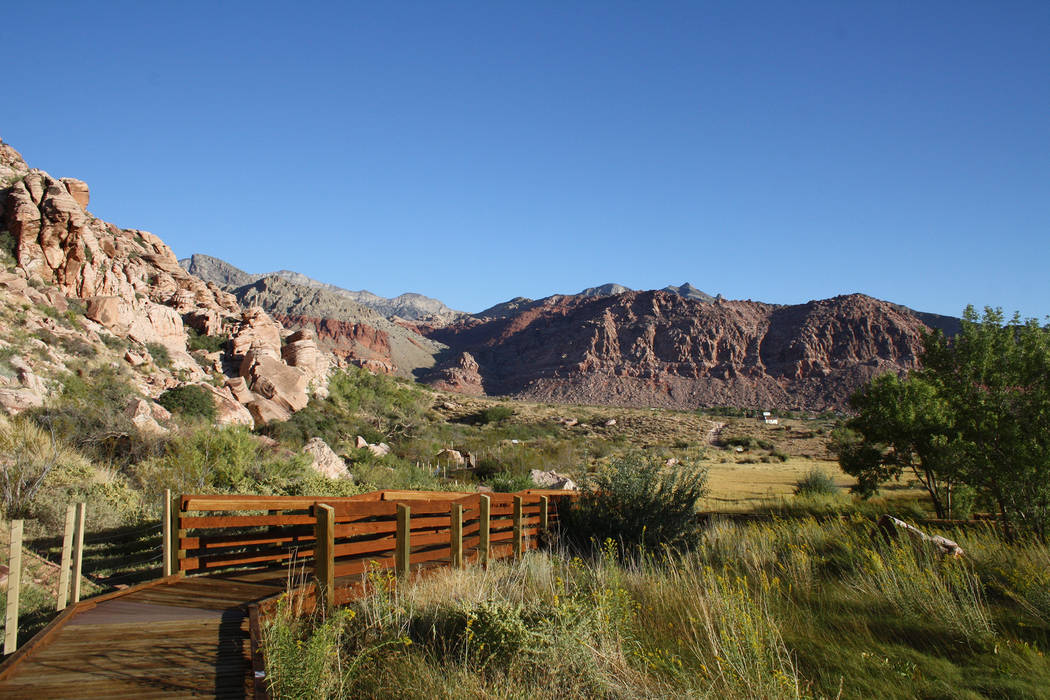 Calico Basin Trail